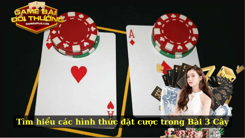 Tìm hiểu các hình thức đặt cược trong Bài 3 Cây